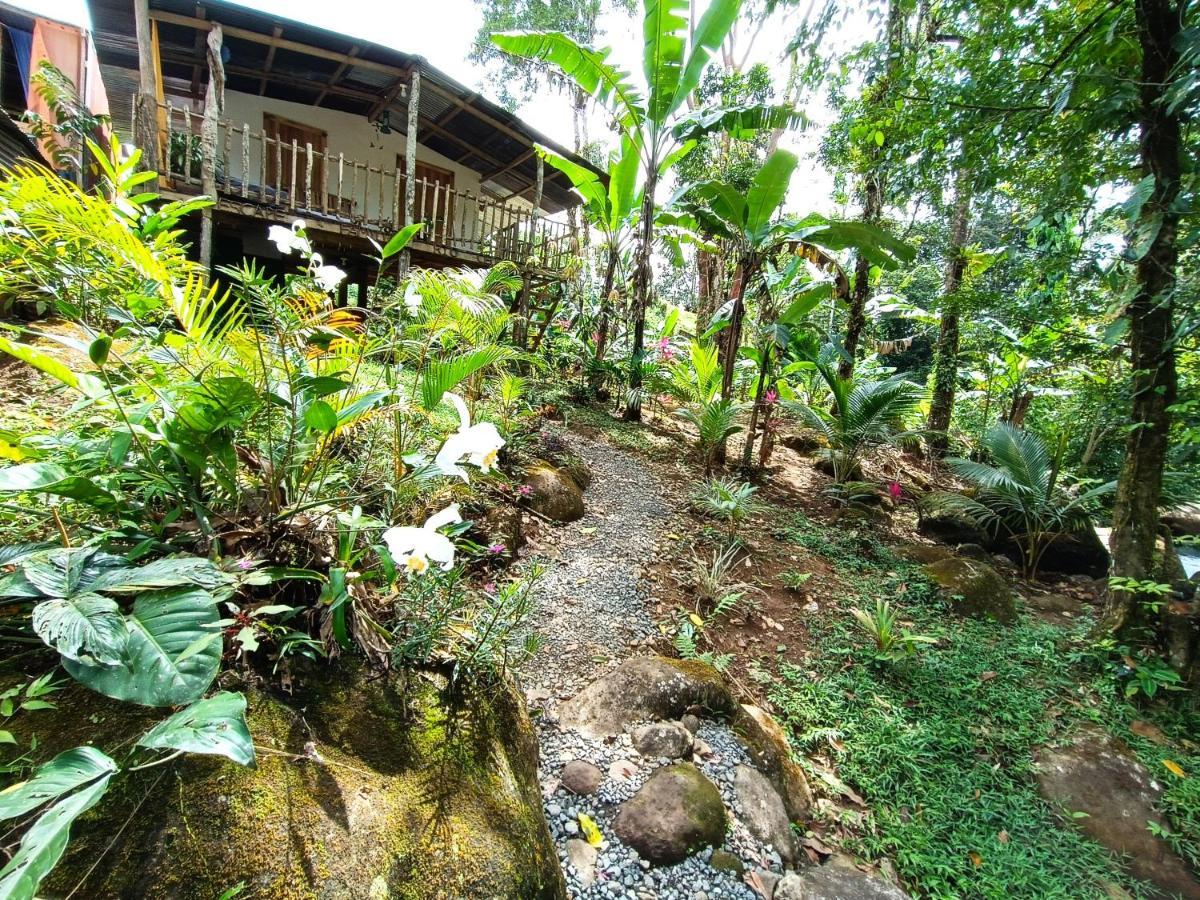 Cabana Vista Rio Celeste Exterior photo